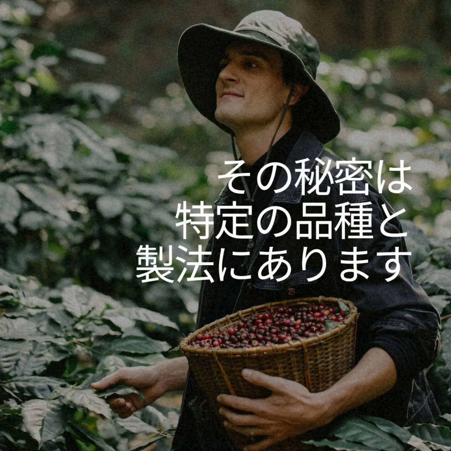 「コーヒーって、苦いもの