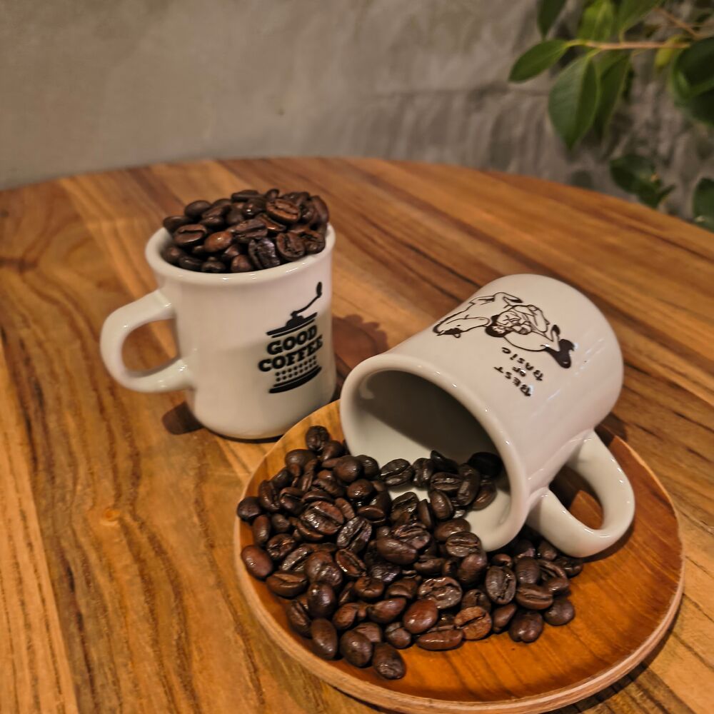 画像7698