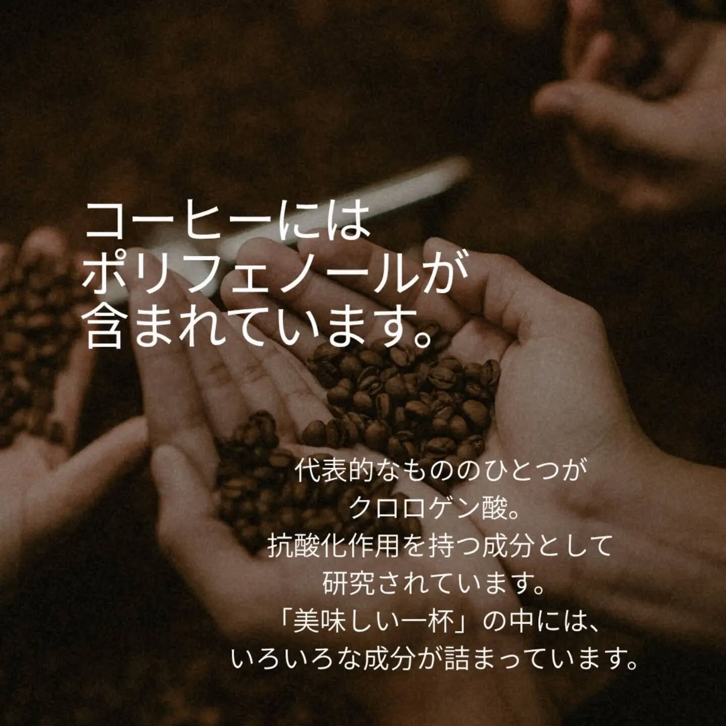 コーヒーは、ただの「嗜好品」じゃない