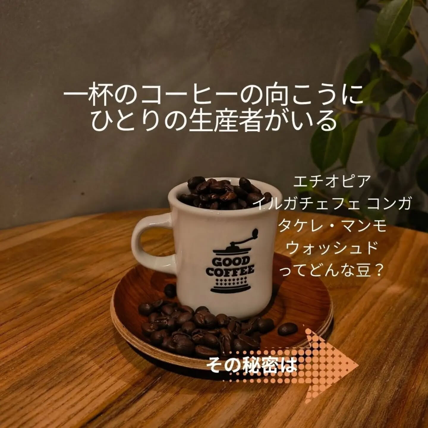 一杯のコーヒーの向こうに、ひとりの生産者がいる