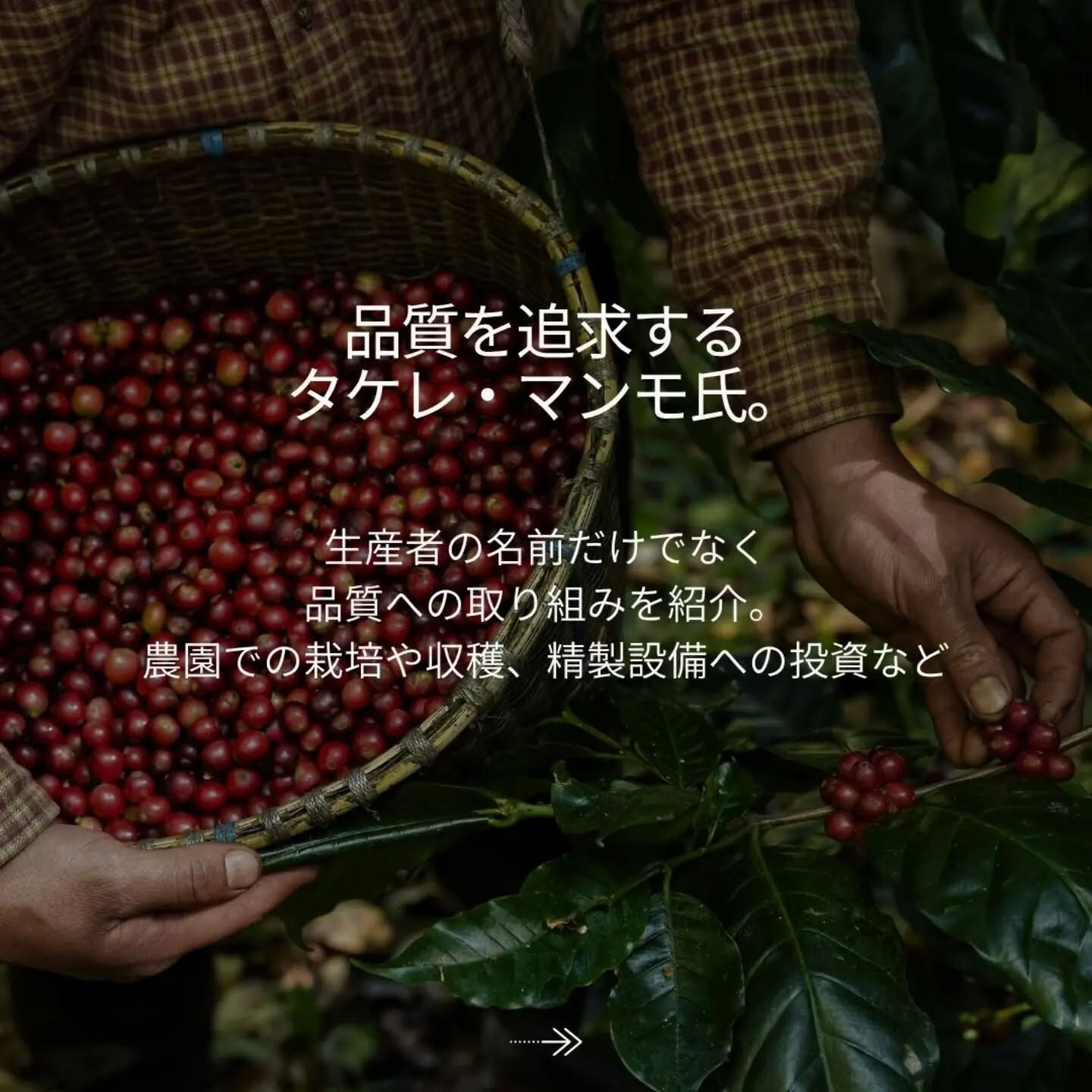 一杯のコーヒーの向こうに、ひとりの生産者がいる