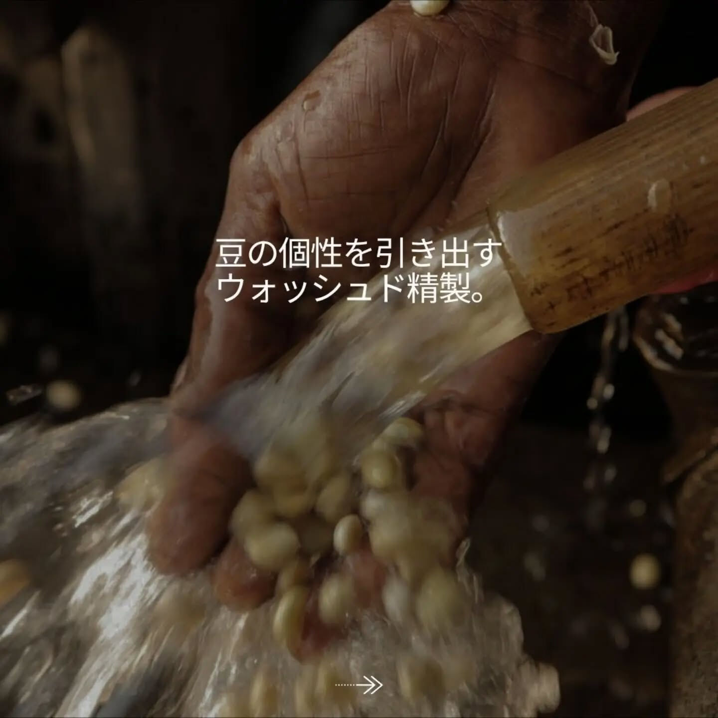 一杯のコーヒーの向こうに、ひとりの生産者がいる